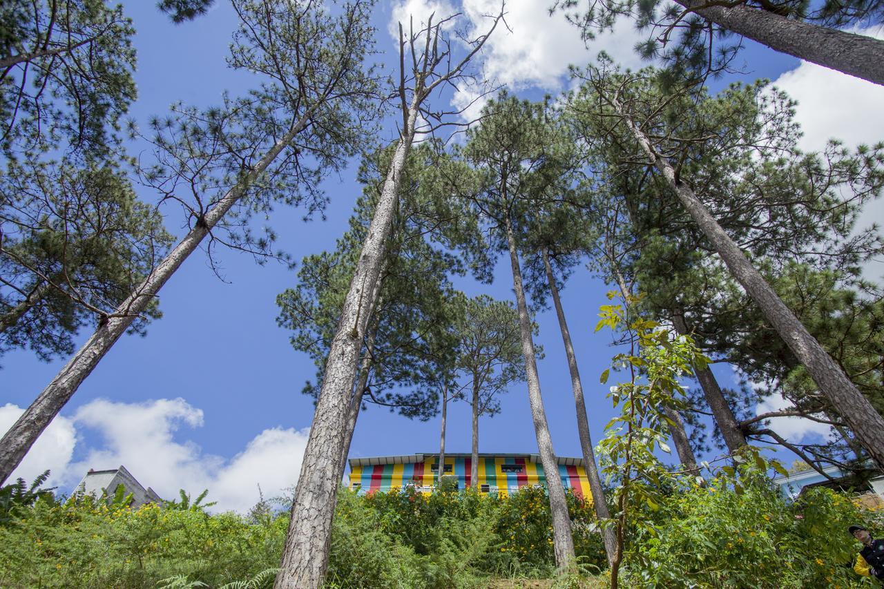 Icolor Dalat Hostel Luaran gambar
